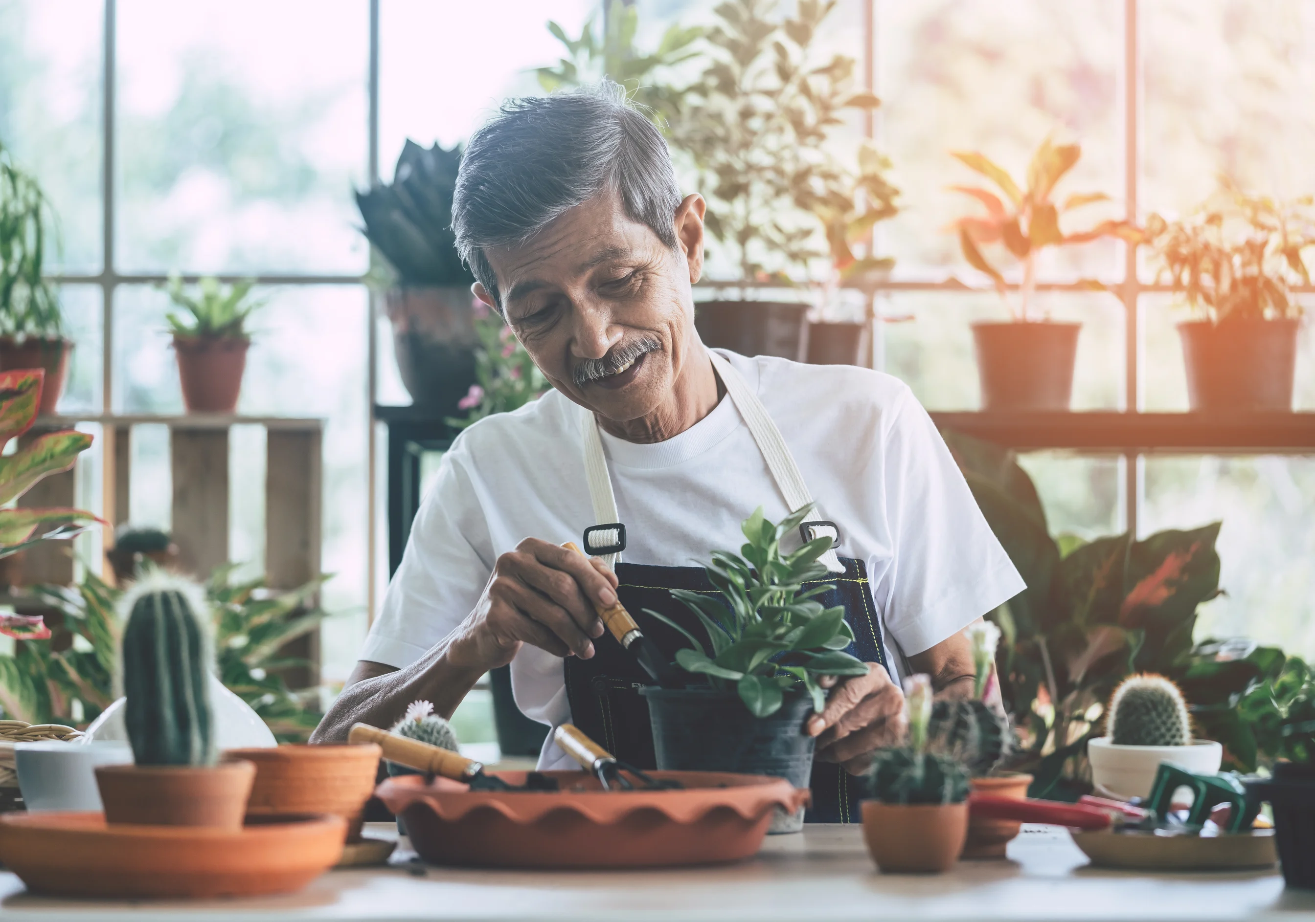 AdobeStock_373863302 1