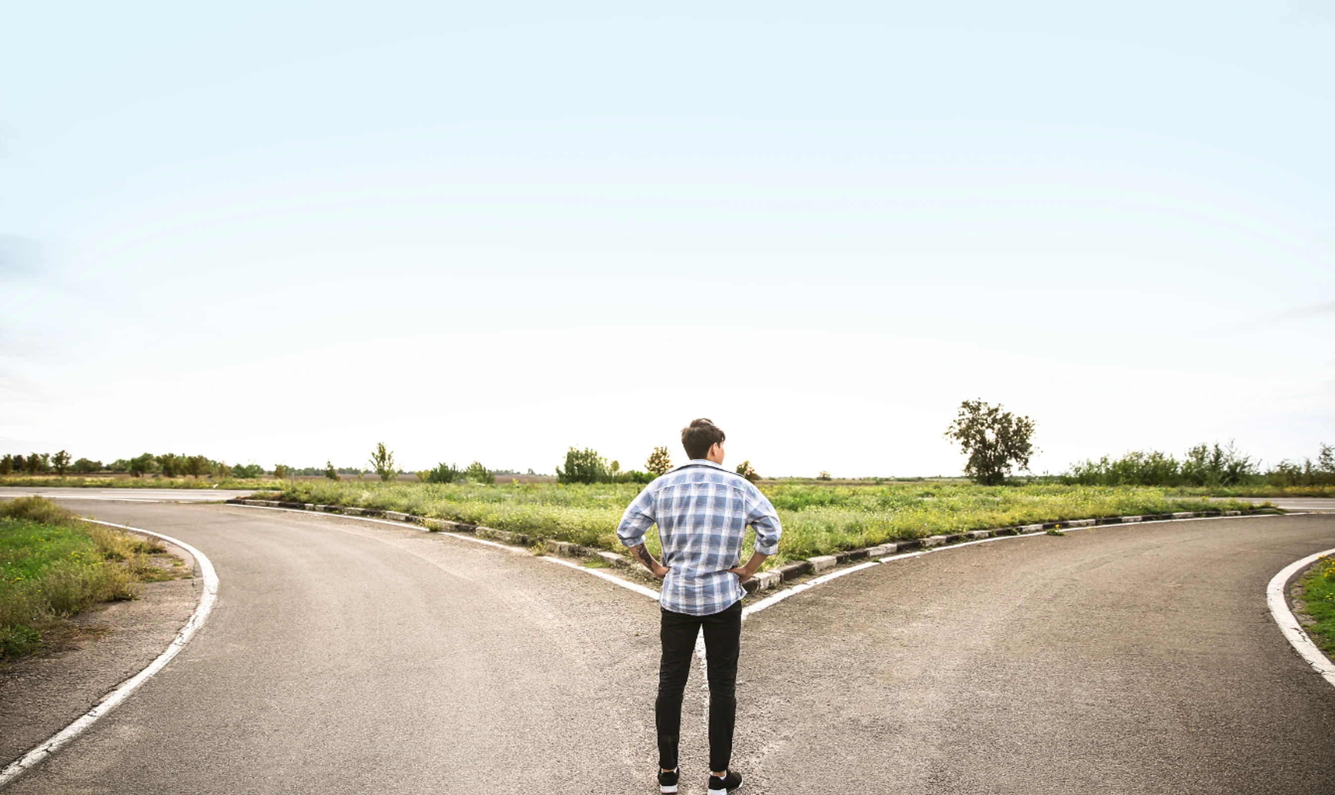 Rollover vs Distribution Navigating Retirement Plan Options