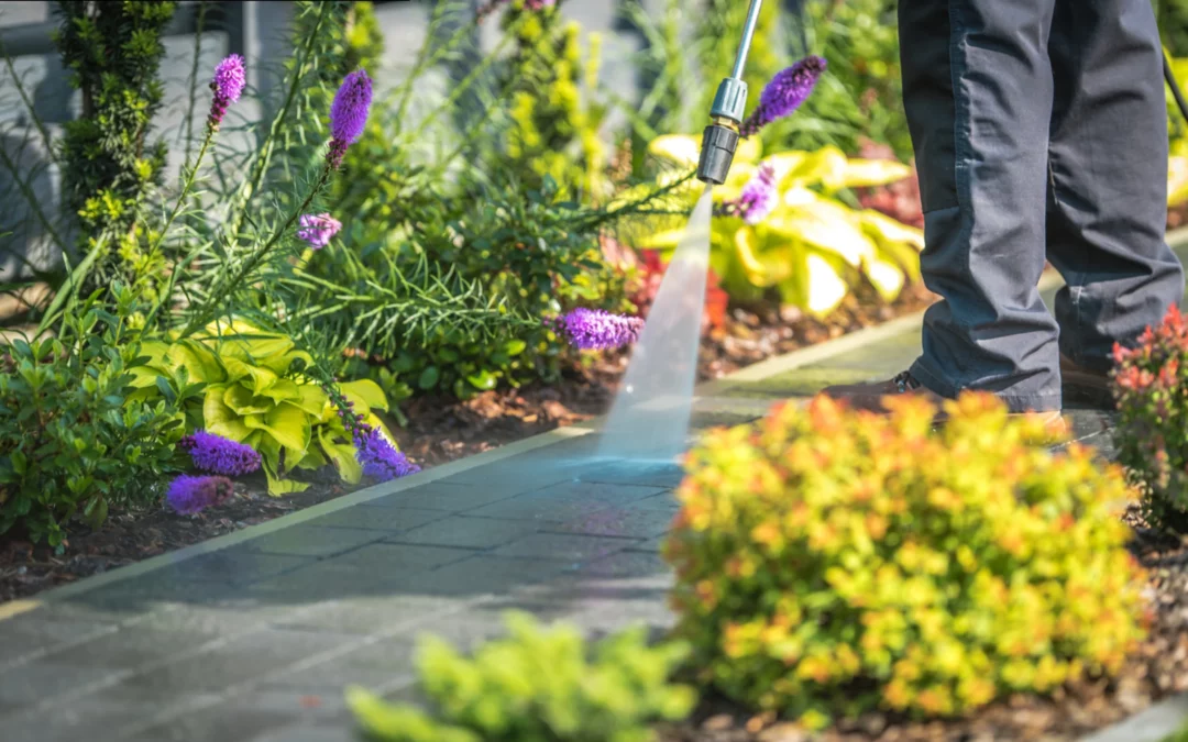 MONEY HACKS: Three Tips for Spring Cleaning Your Retirement Accounts