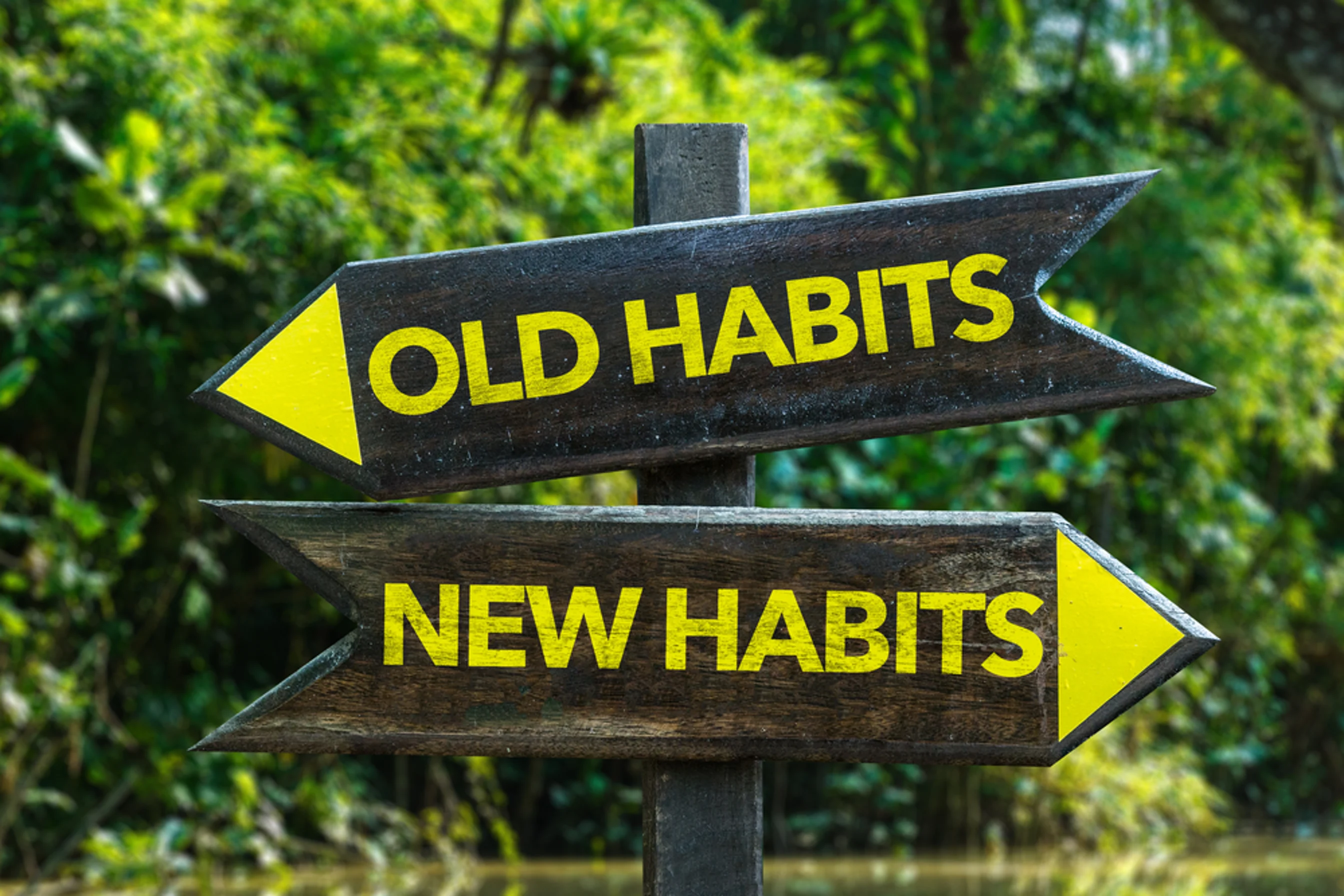 Old Habits – New Habits signpost with forest background
